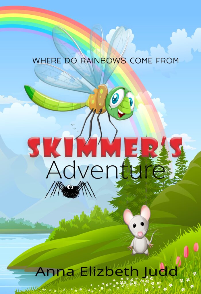 SKIMMER'S ADVENTURE WHERE TO RAINBOWS COME FROM BY ANNA ELIZABETH JUDD