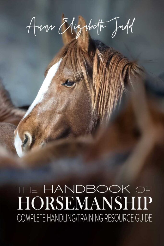 Horse Training Guides The Handbook of Horsemanship: Complete Handling/Training Resource Guide